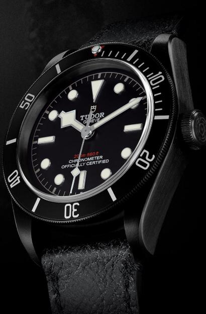 Tudor BLACK BAY DARK M79230DK-0008 Replica Watch